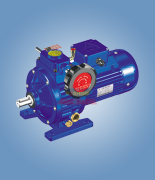 (10) Motor de engranaje de velocidad variable de MB