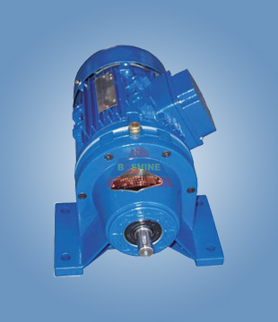 (12) Motor de engranaje cicloide WB