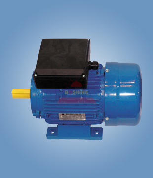 (1) Motor monofásico YL