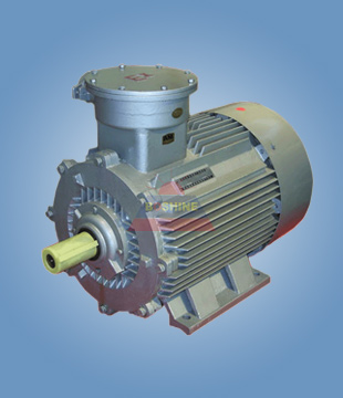 (5) Motor a prueba de explosiones YB3